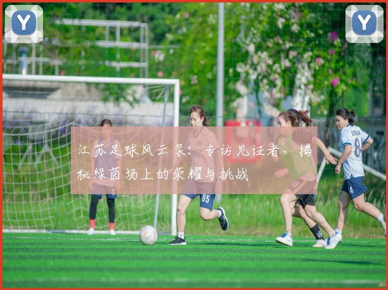 江苏足球风云录：专访见证者，揭秘绿茵场上的荣耀与挑战