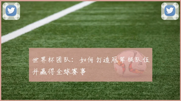 世界杯团队：如何打造冠军级队伍并赢得全球赛事